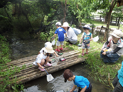 キッズLNC(Little Nature Club)の活動写真