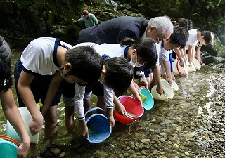 ヤマメの放流