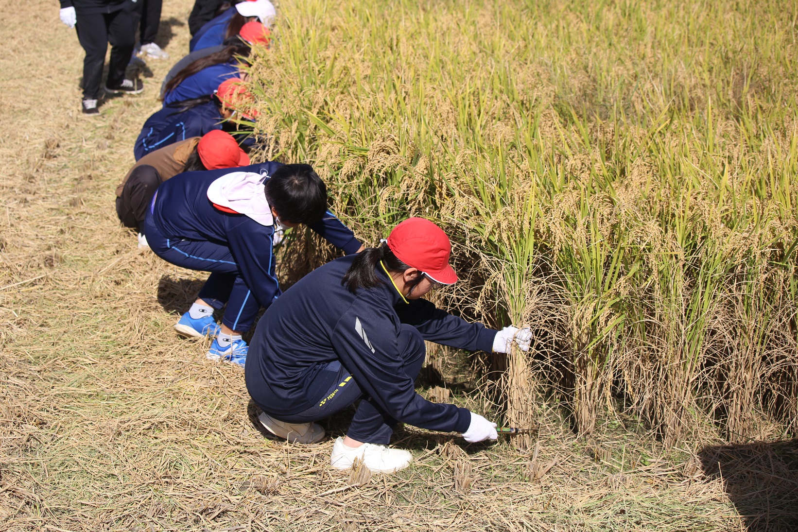 目が不自由な人のために、掲載する画像の説明を記載してください。