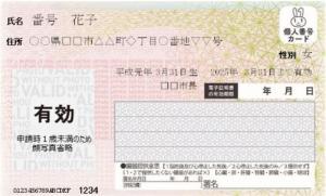 顔写真なしマイナンバーカード