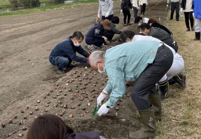 球根を植える市長とボランティアのみなさん