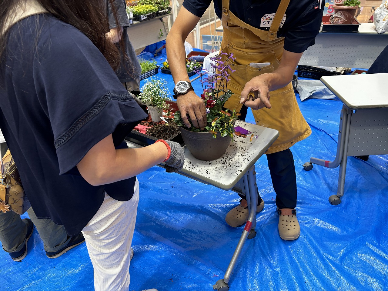 秋の花の寄せ植え教室の様子