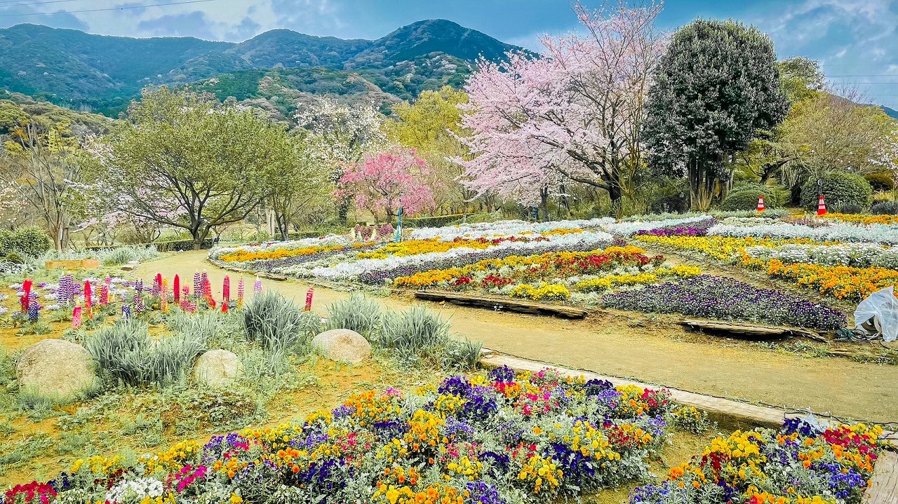 花公園の写真