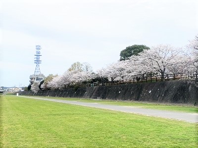 新区画の全体風景