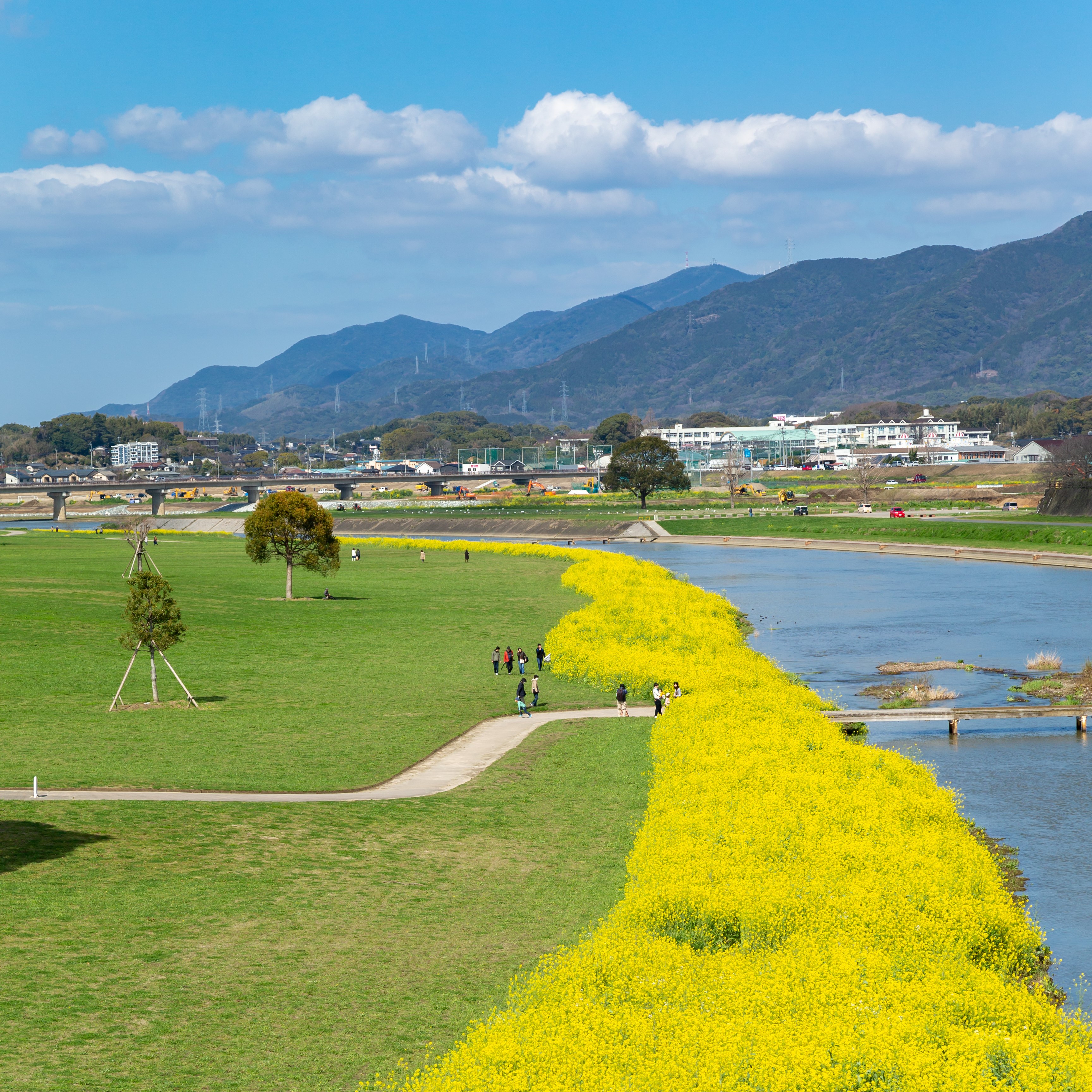 遠賀川河川敷の風景